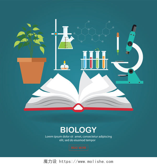 生物实验室工作区和科学设备与本打开的书平面设计矢量图